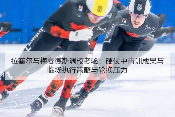 la-sai-er-yu-mei-sai-de-si-diao-xiao-kao-yan-ying-zhang-zhong-qing-xun-cheng-guo-yu-lin-chang-zhi-xing-ce-lve-yu-lun-2-376.jpg